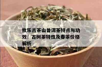 攸乐古茶山普洱茶特点与功效：古树茶特性及春茶价格解析