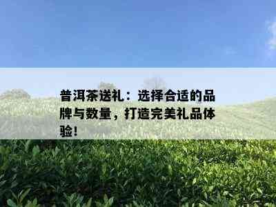 普洱茶送礼：选择合适的品牌与数量，打造完美礼品体验！