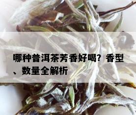 哪种普洱茶芳香好喝？香型、数量全解析