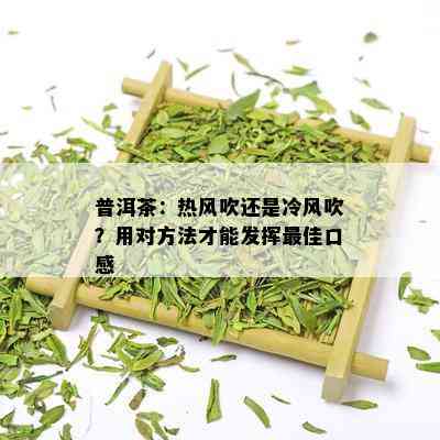 普洱茶：热风吹还是冷风吹？用对方法才能发挥更佳口感