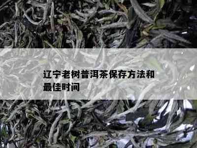 辽宁老树普洱茶保存方法和更佳时间