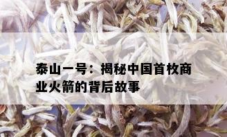 泰山一号：揭秘中国首枚商业火箭的背后故事