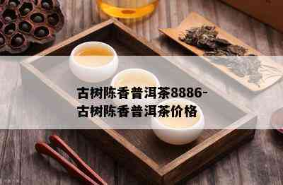 古树陈香普洱茶8886-古树陈香普洱茶价格