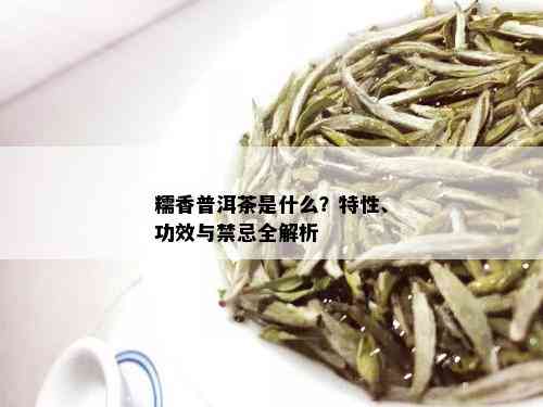 糯香普洱茶是什么？特性、功效与禁忌全解析