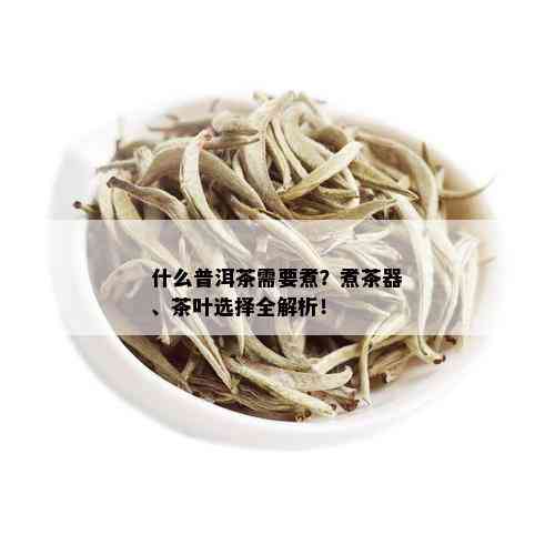 什么普洱茶需要煮？煮茶器、茶叶选择全解析！