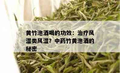 黄竹泡喝的功效：治疗风湿类风湿？中药竹黄泡的秘密