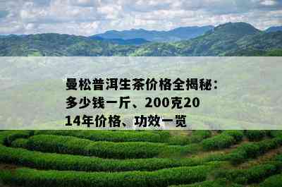 曼松普洱生茶价格全揭秘：多少钱一斤、200克2014年价格、功效一览