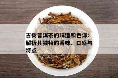 古树普洱茶的味道和色泽：解析其独特的香味、口感与特点