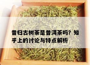 昔归古树茶是普洱茶吗？知乎上的讨论与特点解析