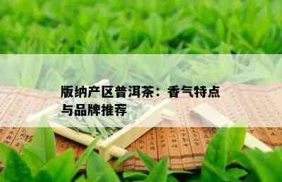 版纳产区普洱茶：香气特点与品牌推荐