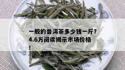 一般的普洱茶多少钱一斤？4.6万阅读揭示市场价格！