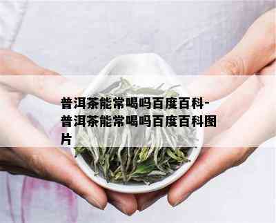 普洱茶能常喝吗百度百科-普洱茶能常喝吗百度百科图片