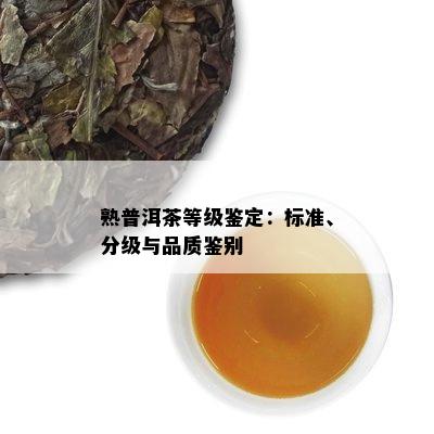 熟普洱茶等级鉴定：标准、分级与品质鉴别