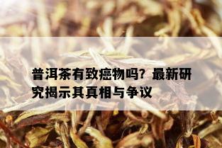 普洱茶有致癌物吗？最新研究揭示其真相与争议