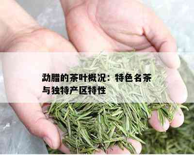 勐腊的茶叶概况：特色名茶与独特产区特性