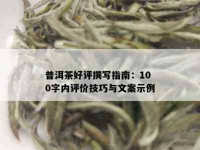 普洱茶好评撰写指南：100字内评价技巧与文案示例