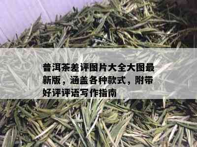 普洱茶差评图片大全大图最新版，涵盖各种款式，附带好评评语写作指南