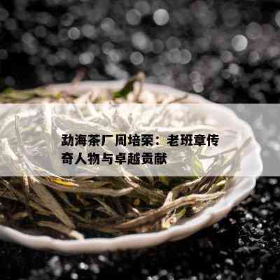 勐海茶厂周培荣：老班章传奇人物与卓越贡献