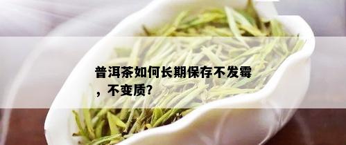 普洱茶如何长期保存不发霉，不变质？