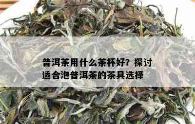 普洱茶用什么茶杯好？探讨适合泡普洱茶的茶具选择