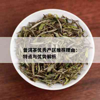 普洱茶优秀产区推荐理由：特点与优势解析