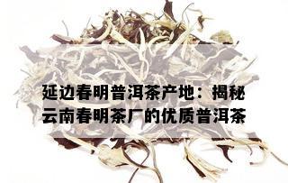 延边春明普洱茶产地：揭秘云南春明茶厂的优质普洱茶