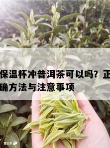 保温杯冲普洱茶可以吗？正确方法与注意事项