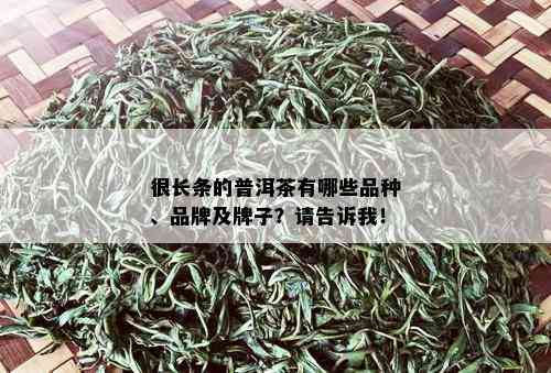 很长条的普洱茶有哪些品种、品牌及牌子？请告诉我！