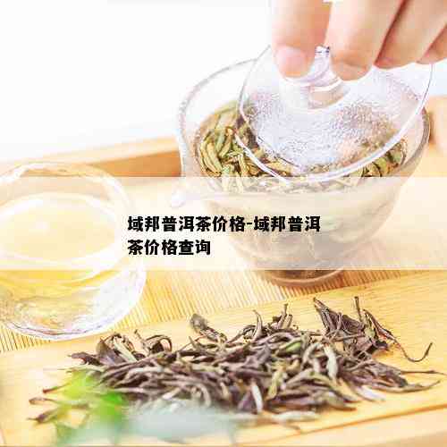 域邦普洱茶价格-域邦普洱茶价格查询