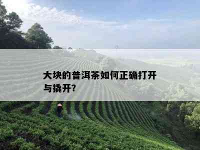 大块的普洱茶如何正确打开与撬开？