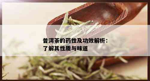 普洱茶的药性及功效解析：了解其性质与味道