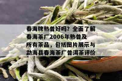 春海牌熟普好吗？全面了解春海茶厂2006年熟普及所有茶品，包括图片展示与勐海县春海茶厂普洱茶评价。