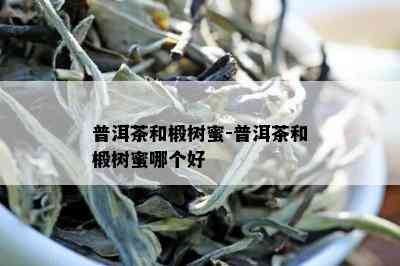 普洱茶和椴树蜜-普洱茶和椴树蜜哪个好