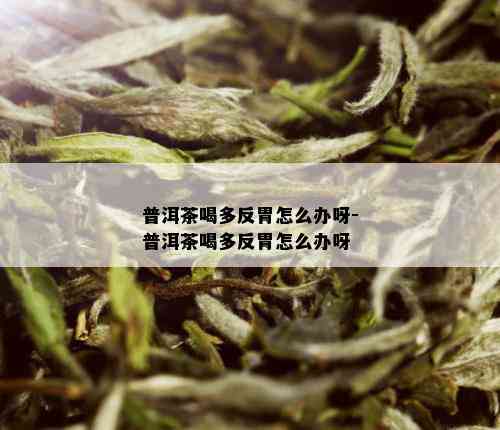 普洱茶喝多反胃怎么办呀-普洱茶喝多反胃怎么办呀