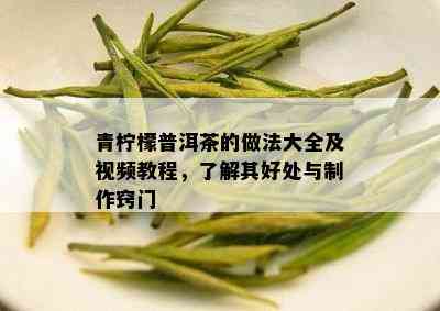 青柠檬普洱茶的做法大全及视频教程，了解其好处与制作窍门