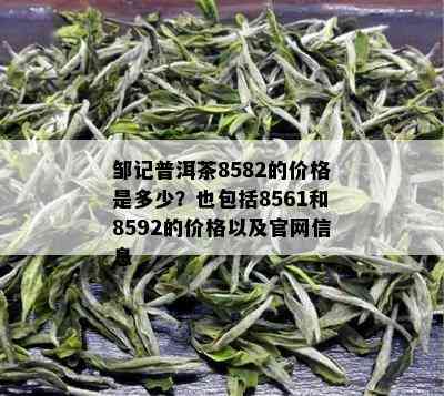 邹记普洱茶8582的价格是多少？也包括8561和8592的价格以及官网信息