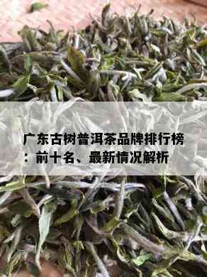 广东古树普洱茶品牌排行榜：前十名、最新情况解析