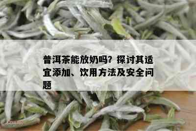 普洱茶能放奶吗？探讨其适宜添加、饮用方法及安全问题