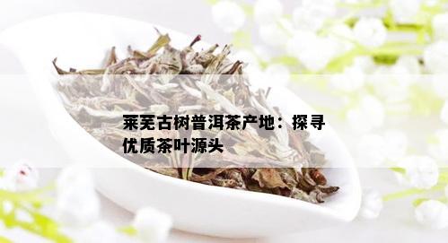 莱芜古树普洱茶产地：探寻优质茶叶源头