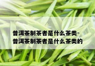 普洱茶制茶者是什么茶类-普洱茶制茶者是什么茶类的