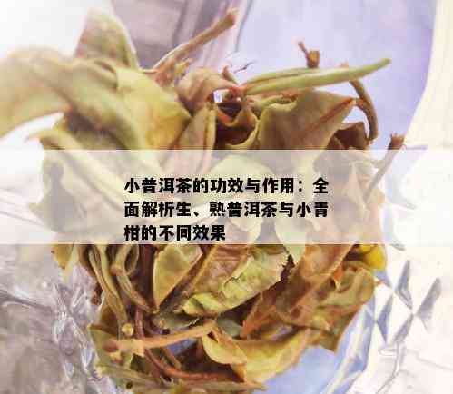 小普洱茶的功效与作用：全面解析生、熟普洱茶与小青柑的不同效果