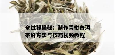 全过程揭秘：制作青柑普洱茶的方法与技巧视频教程