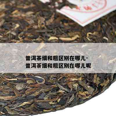 普洱茶细和粗区别在哪儿-普洱茶细和粗区别在哪儿呢