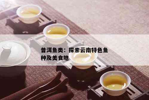 普洱鱼类：探索云南特色鱼种及美食地