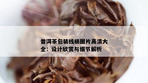 普洱茶包装线稿图片高清大全：设计欣赏与细节解析