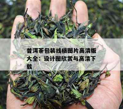 普洱茶包装线稿图片高清版大全：设计图欣赏与高清下载