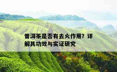 普洱茶是否有去火作用？详解其功效与实证研究