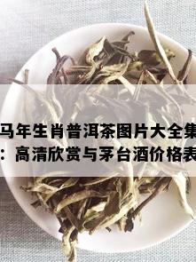 马年生肖普洱茶图片大全集：高清欣赏与茅台价格表