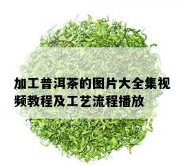 加工普洱茶的图片大全集视频教程及工艺流程播放