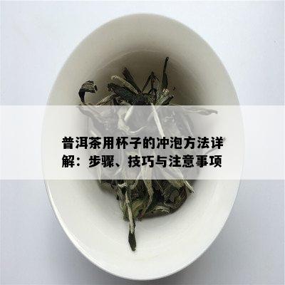 普洱茶用杯子的冲泡方法详解：步骤、技巧与注意事项